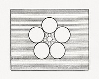 Antique print of Japanese, flower flag symbol illustration. Public domain image from our own original 1884 edition of The Ornamental Arts Of Japan. Digitally enhanced by rawpixel.