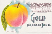 Gold $3,000.00 plum (1870–1900) chromolithograph art. Original public domain image from Digital Commonwealth. Digitally enhanced by rawpixel.