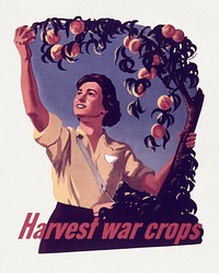 Harvest War Crops, The Women's Land Army (1941-1945) chromolithograph art. Original public domain image from Wikimedia Commons. Digitally enhanced by rawpixel.