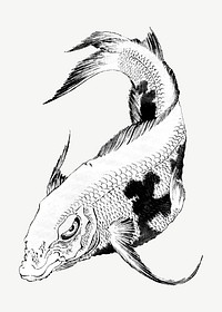 Koi fish vintage illustration psd. Remixed by rawpixel. 