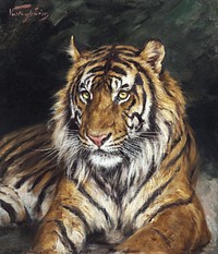 A Reclining Tiger (1866-1919) oil painting by Geza Vastagh. Original public domain image from Wikimedia Commons. Digitally enhanced by rawpixel.