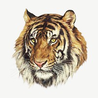 Tiger painting art psd. Remixed by rawpixel. 