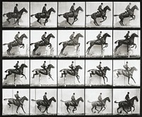 Animal Locomotion Plate 640 (1887), horse riding photographed by Eadweard Muybridge. Original public domain image from The Minneapolis Institute of Art. Digitally enhanced by rawpixel.