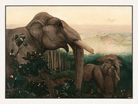 Toomai of the elephants (1903) wild animal illustration by Charles Maurice Detmold. Original public domain image from Boston Public Library. Digitally enhanced by rawpixel.