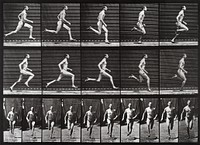 Animal Locomotion Plate 60 (1887) photographed  by Eadweard Muybridge. Original public domain image from The Minneapolis Institute of Art. Digitally enhanced by rawpixel.