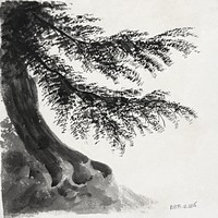 Tree drawing. Original public domain image from Yale Center for British Art. Digitally enhanced by rawpixel.