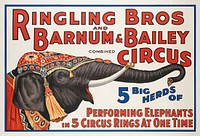 Ringling Bros and Barnum & Bailey Combined Circus : 5 big herds of performing elephants in 5 circus rings at one time (1920) circus animal illustration. Original public domain image from Digital Commonwealth. Digitally enhanced by rawpixel.