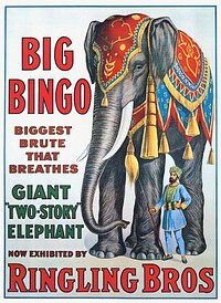 Big Bingo : Giant "two-story" elephant now exhibited by Ringling Bros (1916). Original public domain image from Digital Commonwealth. Digitally enhanced by rawpixel.