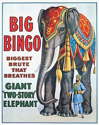 Big Bingo : Giant "two-story" elephant now exhibited by Ringling Bros (1916). Original public domain image from Digital Commonwealth. Digitally enhanced by rawpixel.