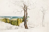 View from jaakkima parsonage over the lake laatokka (1860) painted by Magnus von Wright. Original public domain image from Finnish National Gallery. Digitally enhanced by rawpixel.