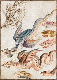 Studies of a dragon (1560–1600) mythical creature illustration.  Original public domain image from The Smithsonian Institution. Digitally enhanced by rawpixel.