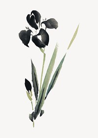 Ukiyo-e Iris flower, vintage illustration. Remixed by rawpixel.