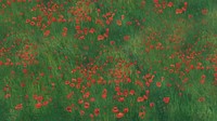 Red poppies field desktop wallpaper. Remixed by rawpixel. 