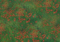 Red poppies field background. Remixed by rawpixel.