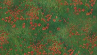 Red poppies field background. Remixed by rawpixel.