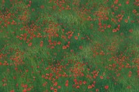 Red poppies field background. Remixed by rawpixel. 