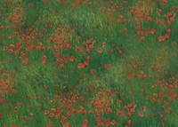 Red poppies field background. Remixed by rawpixel.