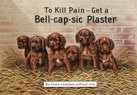 To kill pain - get a Bell-cap-sic Plaster - no home complete without one (1891) chromolithograph art by J. M. Grosvenor & Co. Original public domain image from Digital Commonwealth. Digitally enhanced by rawpixel.