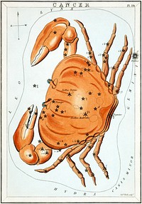 "Cancer", plate 19 in Urania's Mirror, a set of celestial cards accompanied by A familiar treatise on astronomy (1825) chromolithograph art by Jehoshaphat Aspin. Original public domain image from Wikimedia Commons. Digitally enhanced by rawpixel.