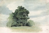 Study of Trees at the Edge of a Field watercolor by Cornelius Varley. Original public domain image from Yale Center for British Art. Digitally enhanced watercolor by rawpixel.