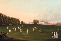 First Grand Match of Cricket Played by Members of the Royal Amateur Society on Hampton Court Green (August 3rd, 1836) oil painting by Attributed to H. J. Aveling. Original public domain image from Yale Center for British Art. Digitally enhanced by rawpixel.