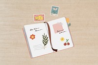 Personal journal, feminine stationery illustration 