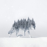 Surreal coyote wolf background, pine forest back remix