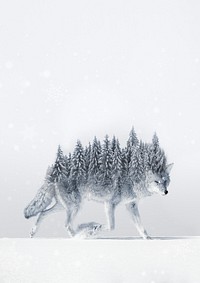 Surreal coyote wolf background, pine forest back remix