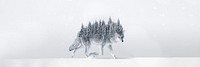 Surreal coyote wolf background, pine forest back remix