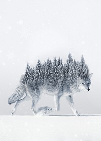 Surreal coyote wolf background, pine forest back remix