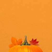 Autumn pumpkin aesthetic background, maple leaf border