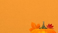 Autumn pumpkin aesthetic background, maple leaf border