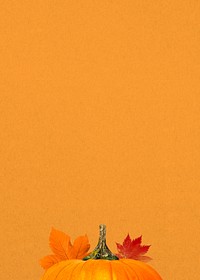 Autumn pumpkin aesthetic background, maple leaf border