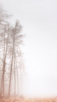 Misty woods iPhone wallpaper, grass field border