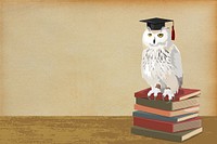 Owl of Athena background, education image