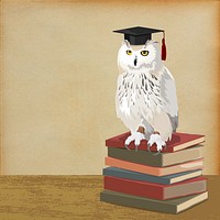 Graduation owl background, education image