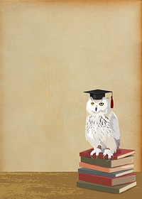 Owl of Athena background, education image