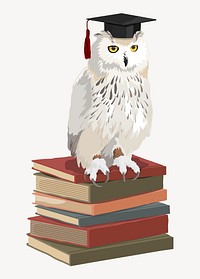 Graduation owl, education illustration