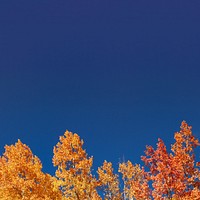 Autumn meadow border background, blue sky image