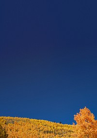 Autumn meadow border background, blue sky image