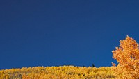 Autumn meadow border background, blue sky image