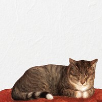 Sleeping cat border background