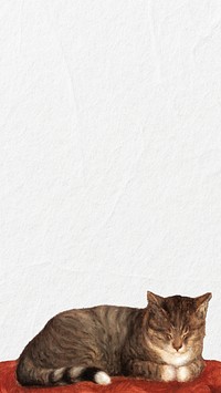 Sleeping cat border iPhone wallpaper