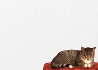 Sleeping cat border background