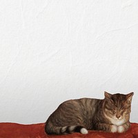 Sleeping cat border background