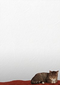 Sleeping cat border background