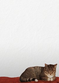 Sleeping cat border background