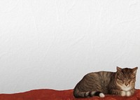 Sleeping cat border background