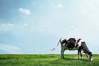 Cow grazing grass background