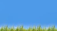 Blue sky HD wallpaper, grass field border